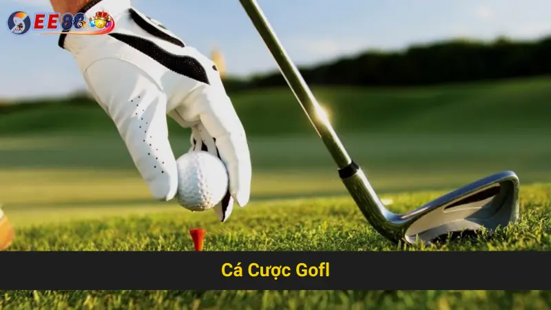 Chia Sẻ Mẹo Thành Công Trong Cá Cược Gofl EE88