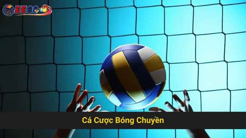 Tìm Hiểu Cách Chơi Cá Cược Bóng Chuyền EE88 Hiệu Quả