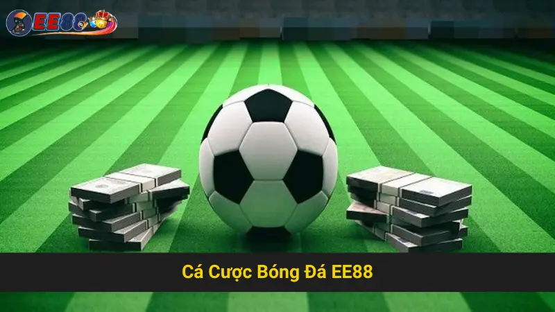 Chia Sẻ Bí Quyết Cá Cược Bóng Đá EE88 Thành Công