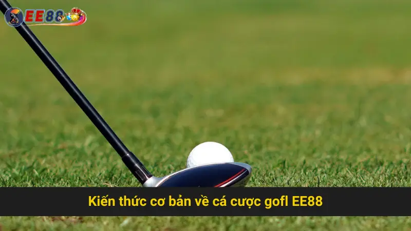 Chia Sẻ Mẹo Thành Công Trong Cá Cược Gofl EE88 2 Kiến thức cơ bản về cá cược gofl EE88